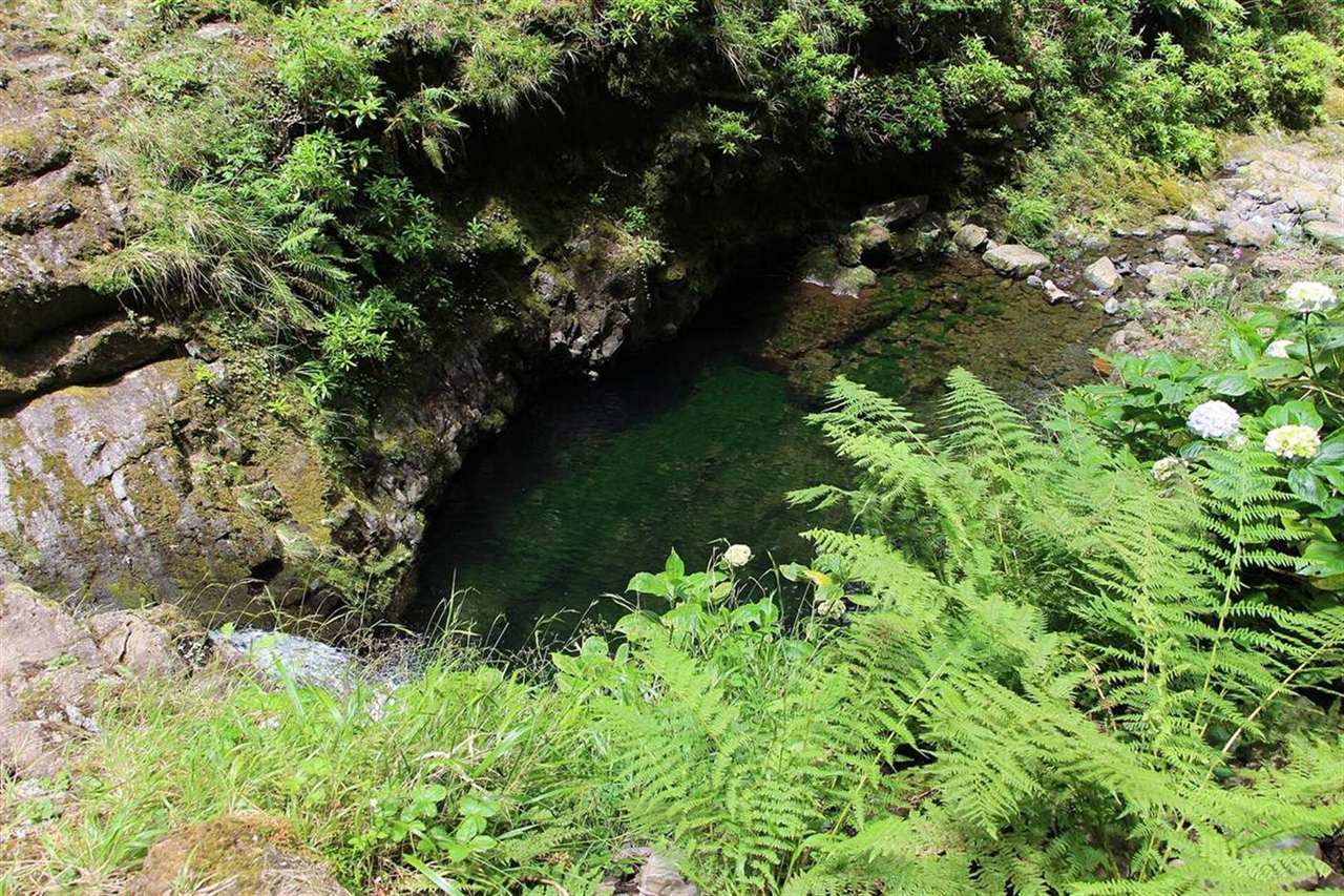 Diepgroene poel bij Caldeirão Verde, Madeira, omgeven door varens, met mos bedekte rotsen en weelderige begroeiing