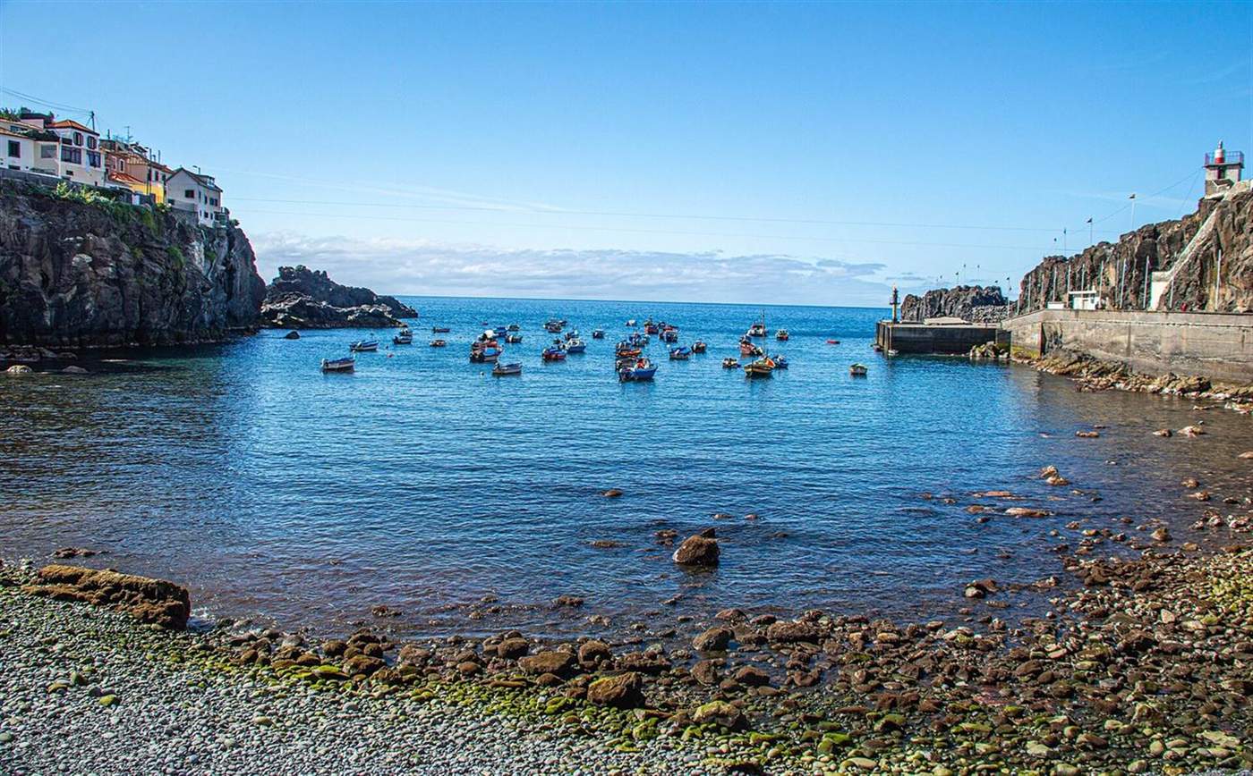Vissersboten afgemeerd in de beschutte baai bij Camara de Lobos, met huizen op de kliffen en de havenmuur op de achtergrond, Madeira