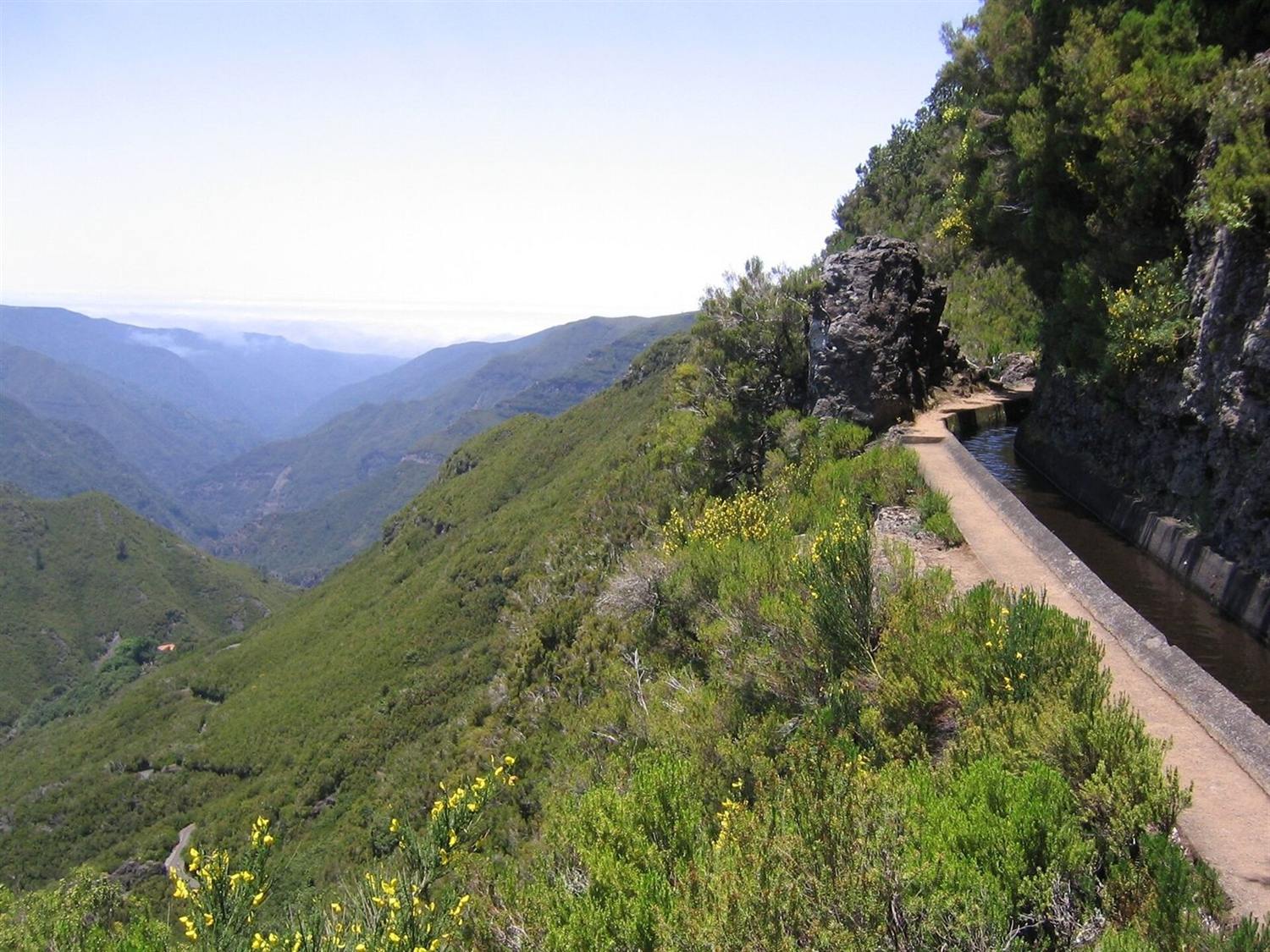 Levada footpath along a steep green mountainside on Madeira, with yellow gorse and a rocky outcrop