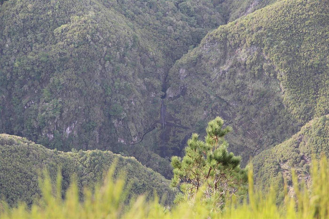 Uitzicht vanaf het Paul da Serra-plateau naar beneden op het beboste Rabaçal-dal, Madeira
