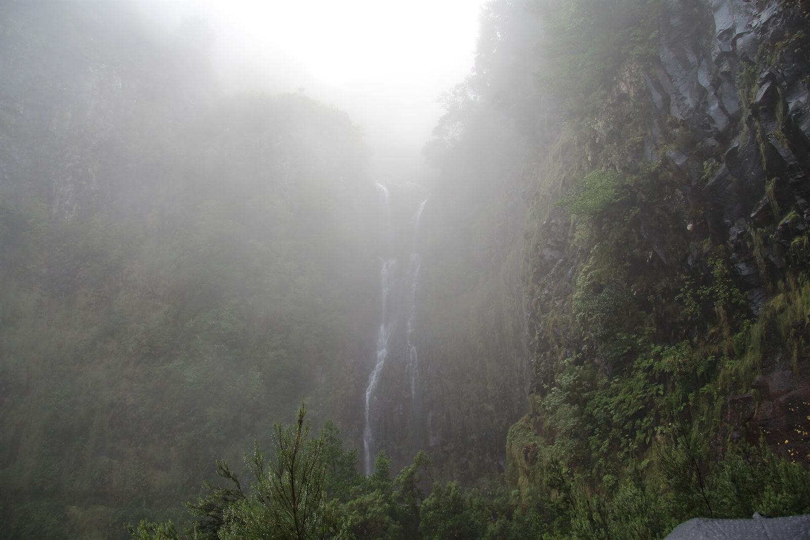 De Risco-waterval stroomt langs een mistige, met mos bedekte rotswand op het eiland Madeira