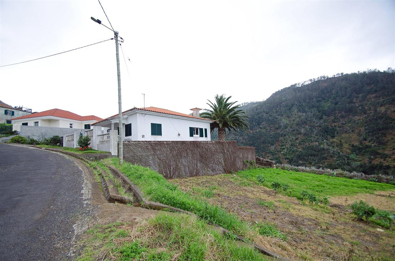 Weiße Villen mit Terrakottadächern und einer Palme entlang einer Hangstraße auf Madeira